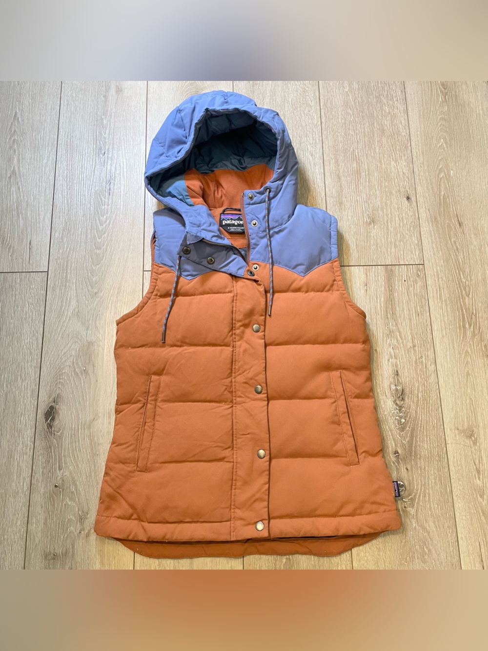 RARE VTG Patagonia Bivy Hooded Down Vest Sisu Brown Blue Mushroom Acorn Gorpcore